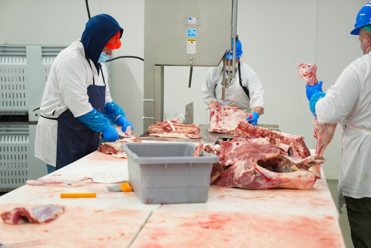 about-02 Skilled butchers processing raw meat in a factory, wearing protective clothing and equipment.